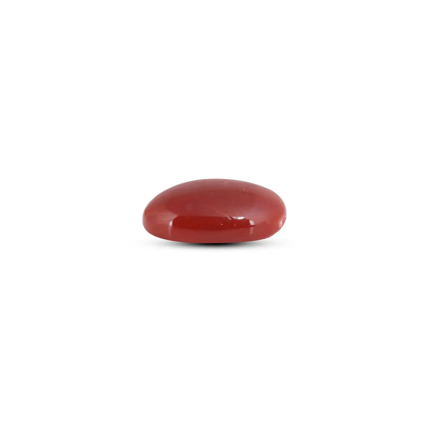 Japanese Red Coral - 7.75 Carat - Pramogh