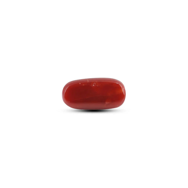 Japanese Red Coral - 6.7 Carat