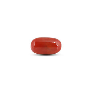 Japanese Red Coral - 6.6 Carat - Pramogh