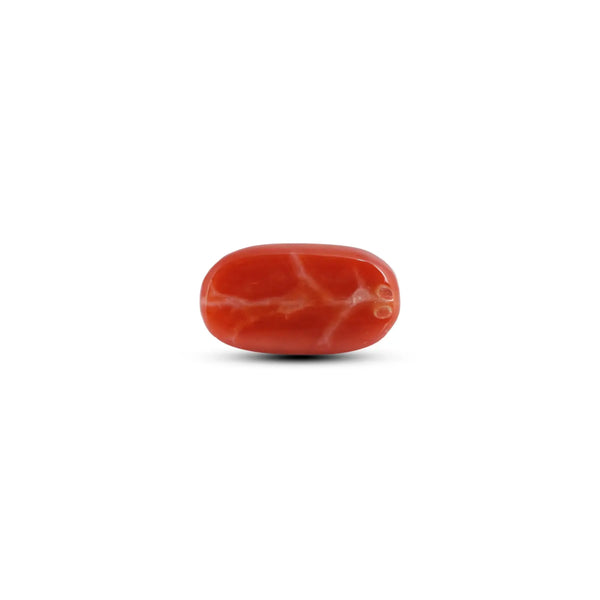 Japanese Red Coral - 6.6 Carat