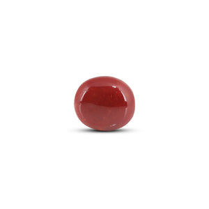 Japanese Red Coral - 9 Carat - Pramogh