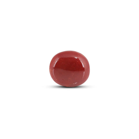 Buy Original Japanese Red Coral Stone Online at Best Price – Page