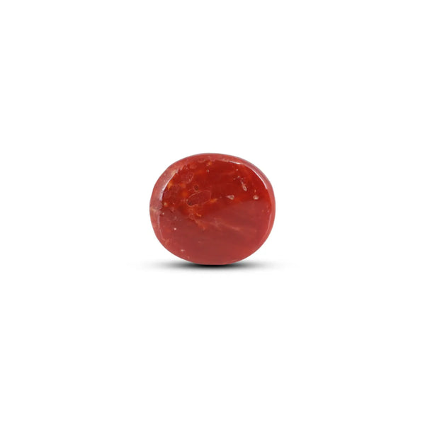 Japanese Red Coral - 9 Carat