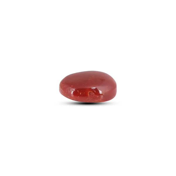 Japanese Red Coral - 9 Carat