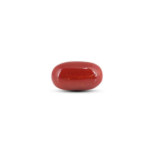 Japanese Red Coral - 7.8 Carat - Pramogh