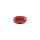 Japanese Red Coral - 7.8 Carat - Pramogh