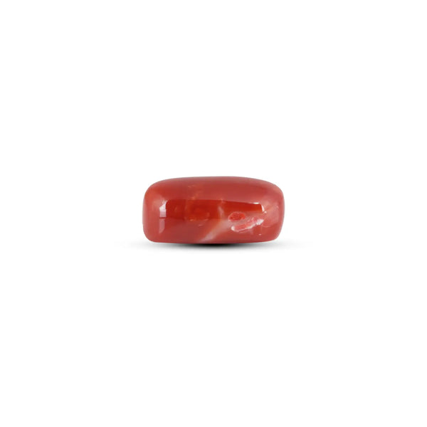 Japanese Red Coral - 12.4 Carat