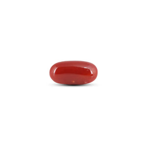 Japanese Red Coral - 8.75 Carat - Pramogh