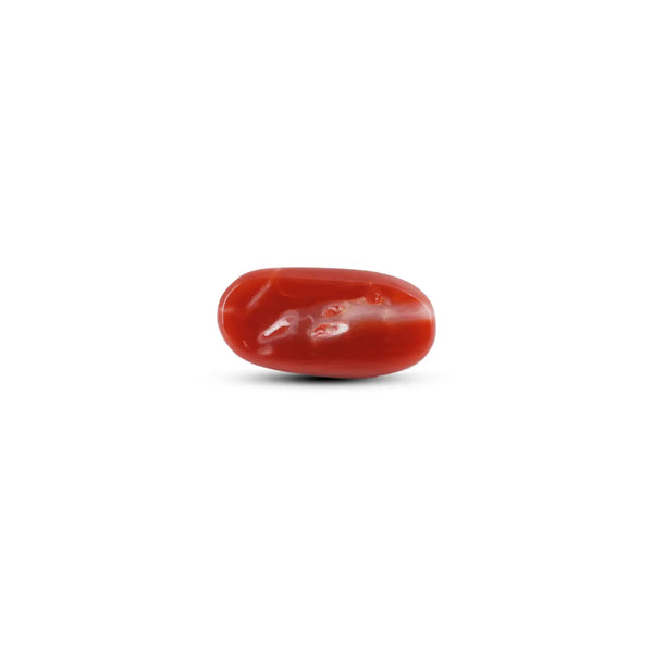 Japanese Red Coral - 8.75 Carat