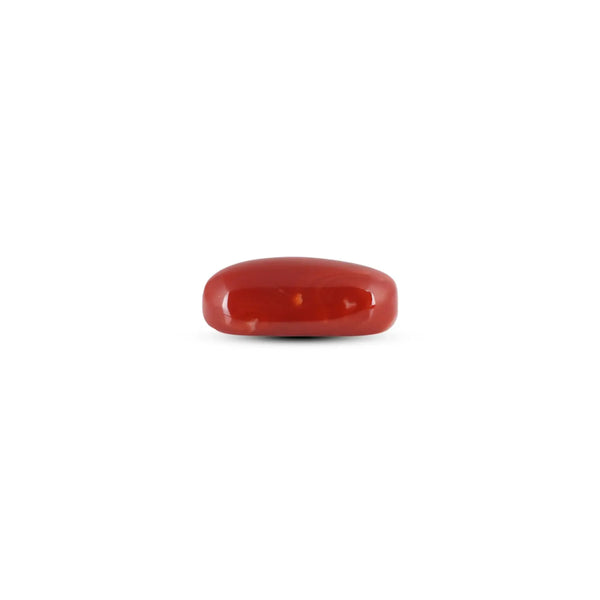 Japanese Red Coral - 8.75 Carat