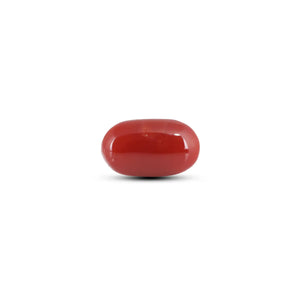 Japanese Red Coral - 5.9 Carat - Pramogh