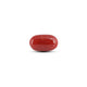 Japanese Red Coral - 5.9 Carat - Pramogh