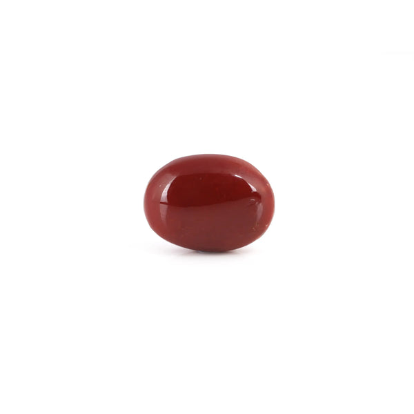 Japanese Red Coral - 9.55 Carat - Pramogh