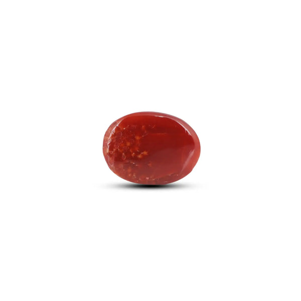 Japanese Red Coral - 9.55 Carat