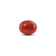 Japanese Red Coral - 6 Carat - Pramogh