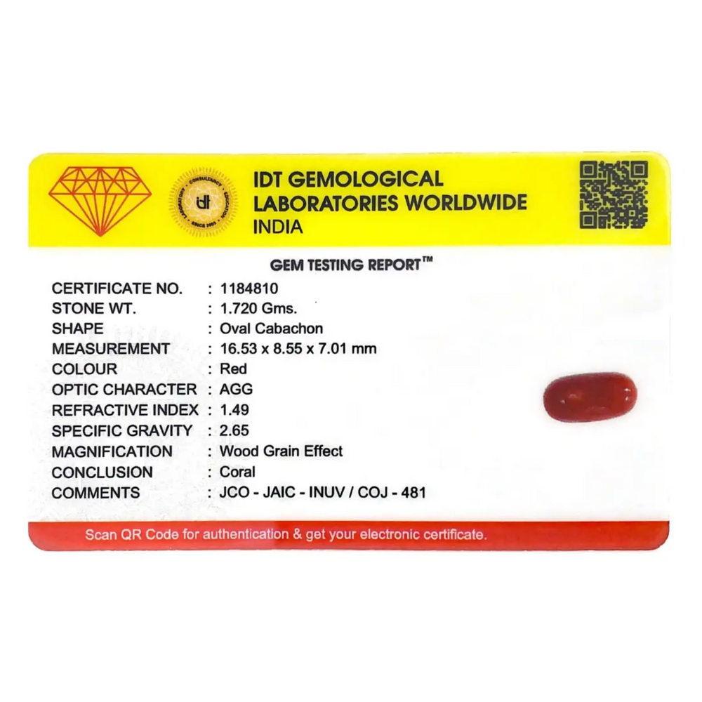 Japanese Red Coral - 8.6 Carat - Pramogh