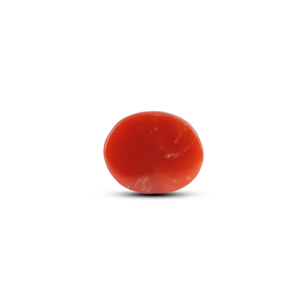 Japanese Red Coral - 5.6 Carat