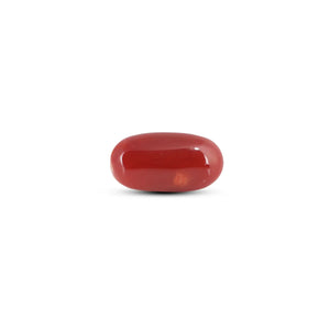 Japanese Red Coral - 6.15 Carat - Pramogh