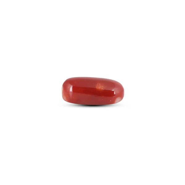 Japanese Red Coral - 6.15 Carat