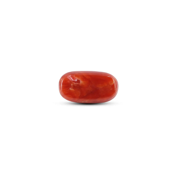 Japanese Red Coral - 5.7 Carat