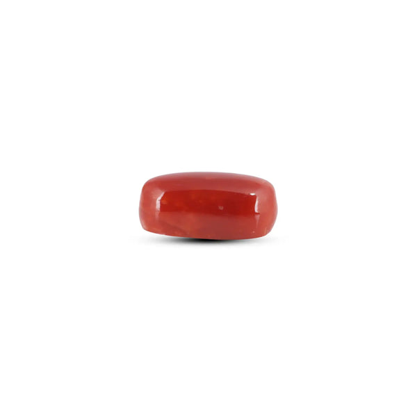 Japanese Red Coral - 5.7 Carat