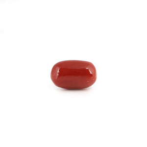 Japanese Red Coral - 5.55 Carat - Pramogh