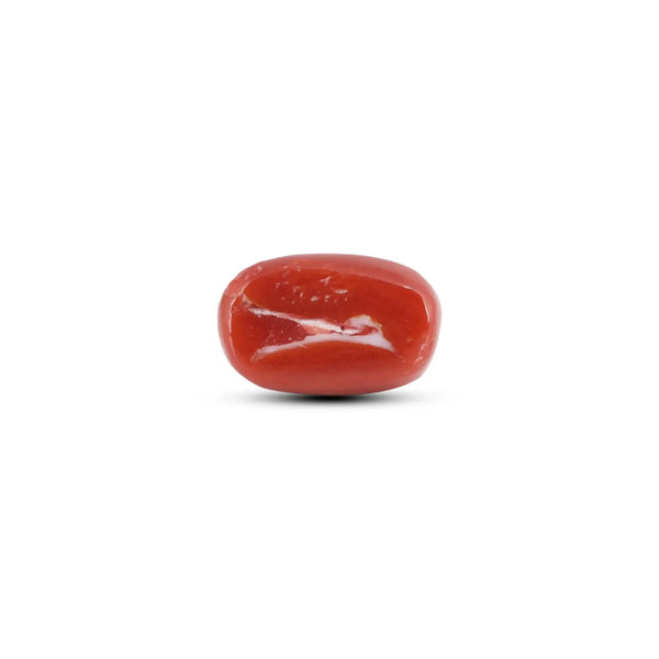 Japanese Red Coral - 5.55 Carat