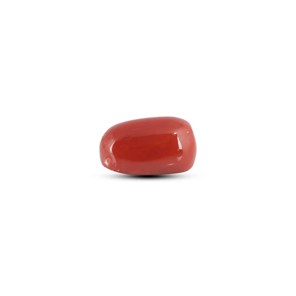 Japanese Red Coral - 5.55 Carat