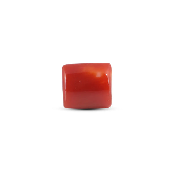 Japanese Red Coral - 5.85 Carat - Pramogh