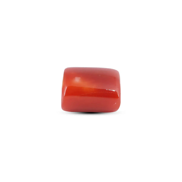 Japanese Red Coral - 5.85 Carat