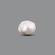 Keshi Pearl - 10.1 Carat - Pramogh