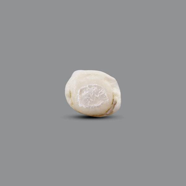 Keshi Pearl - 10.1 Carat