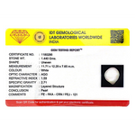 Keshi Pearl - 7.2 Carat - Pramogh