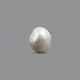 Keshi Pearl - 6.55 Carat  - Pramogh