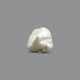 Keshi Pearl - 8.75 Carat  - Pramogh