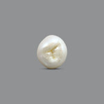 Keshi Pearl - 5.85 Carat