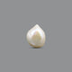 Keshi Pearl - 11.2 Carat  - Pramogh