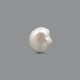 Keshi Pearl - 13.35 Carat  - Pramogh