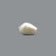 Keshi Pearl (Moti) - 13.8 Carat - Pramogh