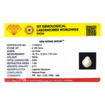 Keshi Pearl - 10.9 Carat