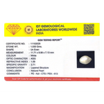 Keshi Pearl - 5.15 Carat