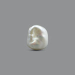 Keshi Pearl - 5.55 Carat