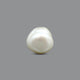 Keshi Pearl (Moti) - 5 Carat - Pramogh