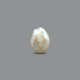 Keshi Pearl (Moti) - 5.85 Carat - Pramogh