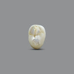 Keshi Pearl - 11.15 Carat