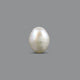 Keshi Pearl (Moti) - 4.8 Carat - Pramogh