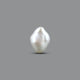 Keshi Pearl (Moti) - 5.1 Carat - Pramogh
