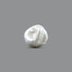 Keshi Pearl (Moti) - 7.6 Carat - Pramogh