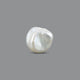 Keshi Pearl (Moti) - 7.2 Carat - Pramogh