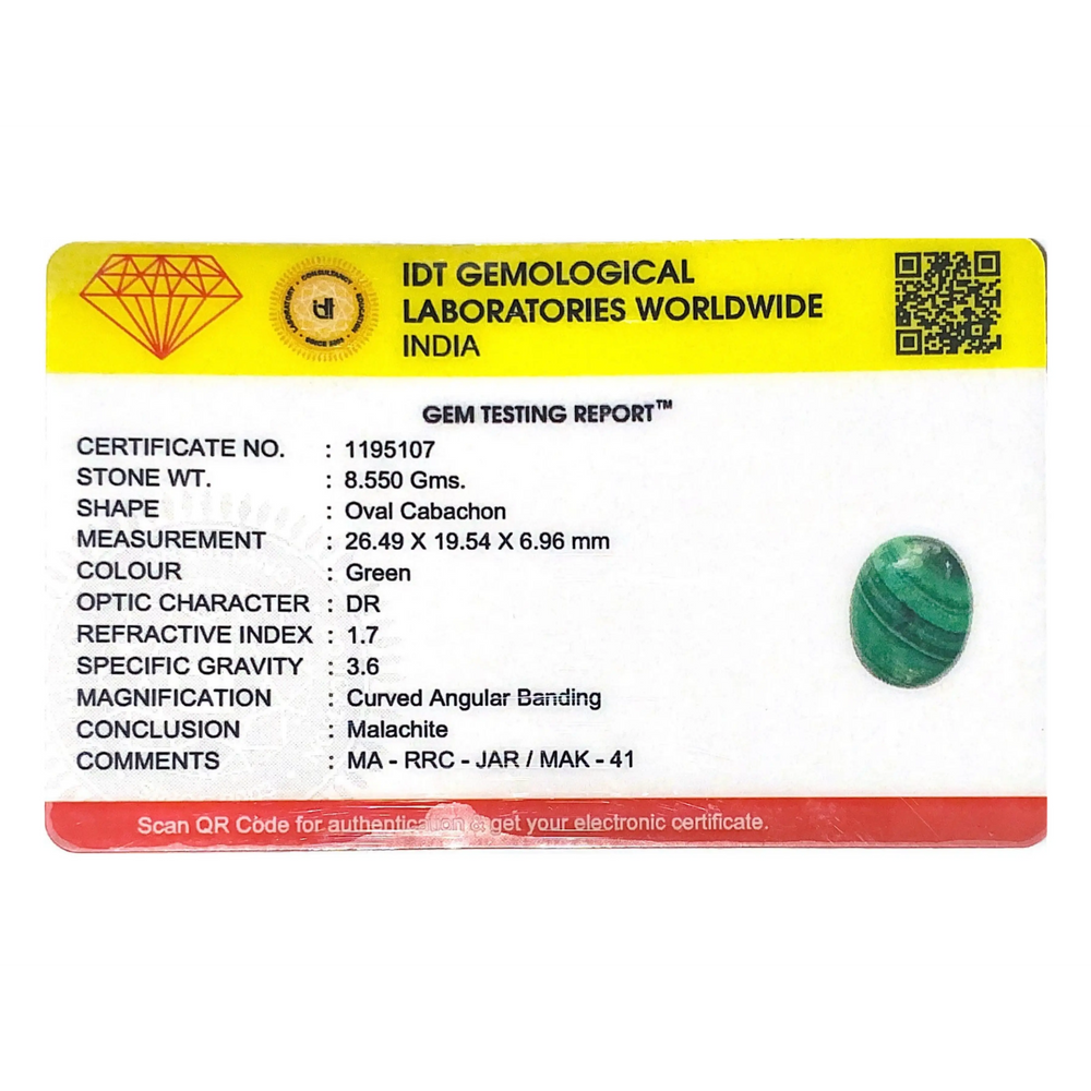 Malachite (Kidney Stone) - 42.75 Carat